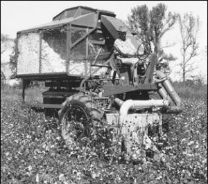 No. 8 Cotton Picker